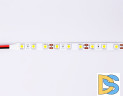 Светодиодная лента Ambrella Light Illumination 24В 5050 14,4Вт/м 3000K 5м IP20 GS4002