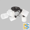 Потолочная люстра IMEX MD.0401-5-S-BK