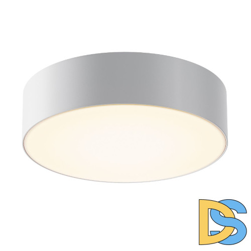 Уличный потолочный светильник Maytoni Zon IP O431CL-L30W3K