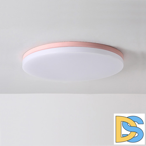 Потолочный cветильник ImperiumLoft Disc 193126-26