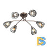 Потолочная люстра Vitaluce V4955-7/6PL