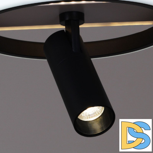 Потолочная люстра Reluce 77804-3.3-2+2