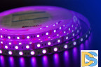 Светодиодная лента DesignLed DSG560-12-RGB-33 000603