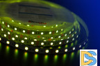 Светодиодная лента DesignLed DSG560-12-RGB-33 000603