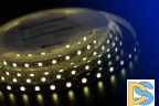 Светодиодная лента DesignLed DSG560-12-RGB-33 000603