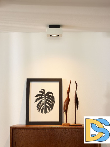 Накладной светильник Lucide Xirax 09119/06/31