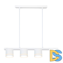 Подвесная люстра Arte Lamp Legacy A8024SP-4WH