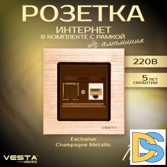 Розетка для сетевого кабеля LAN в рамке из алюминия Vesta-Electric Exclusive Champagne Metallic