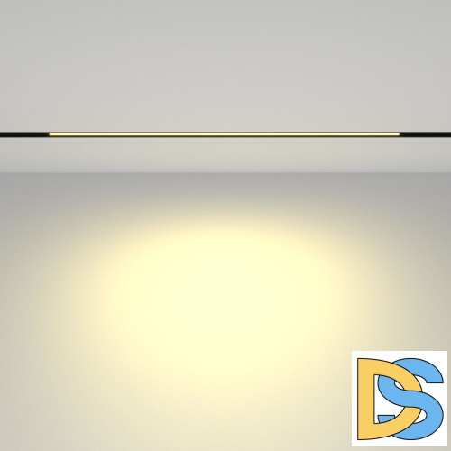 Трековый магнитный светильник Maytoni Basis TR030-2-24W2.7K-B