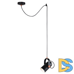 Подвесной светильник Favourite Ampolla 2007-1P