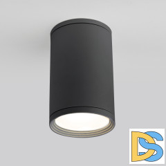 Уличный потолочный светильник Elektrostandard Light 4690389175909