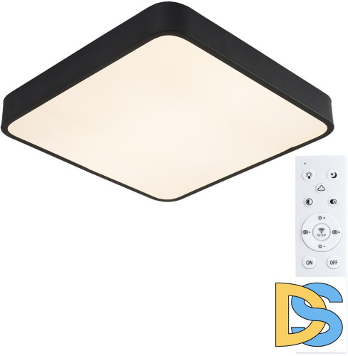 Потолочный светильник Arte Lamp A2663PL-1BK