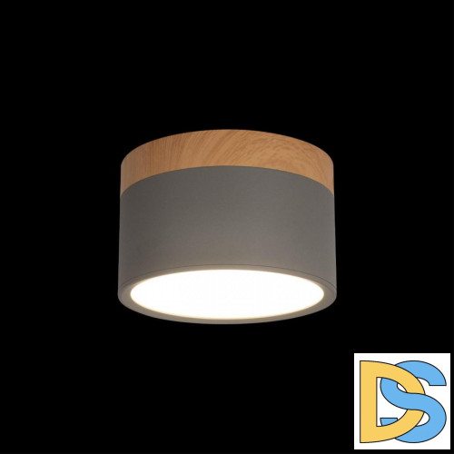 Накладной светильник Loft IT Grape 10162 Grey