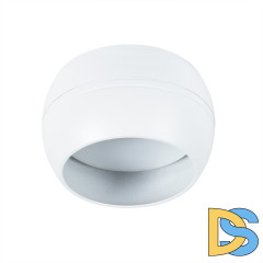 Накладной светильник Arte Lamp Gambo A5551PL-1WH