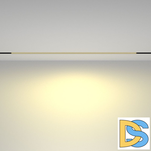 Трековый магнитный светильник Maytoni Basis TR030-2-30W2.7K-B