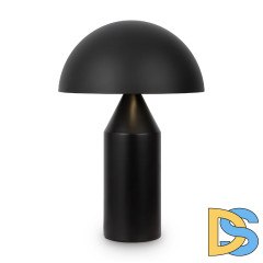 Настольная лампа Freya Eleon FR5218TL-02B1