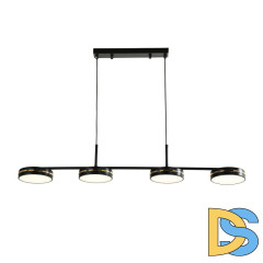 Подвесная люстра F-Promo Disco 4042-4P