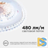 Светодиодная лента Apeyron 24В 5,4Вт/м smd2216, 120д/м IP20 480Лм/м 5м 6500К R00-380