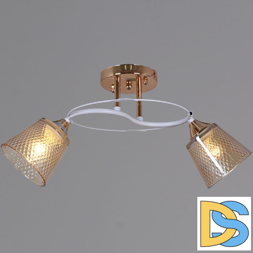 Потолочный светильник Reluce 06003-0.3-02 FG+WT