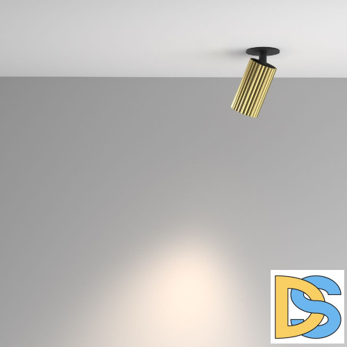 Встраиваемый спот Maytoni Calipso C110CL-01-GU10-BS