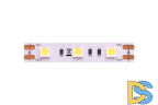 Светодиодная лента DesignLed DSG560-12-NW-33 000517