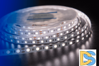 Светодиодная лента DesignLed DSG560-12-NW-33 000517