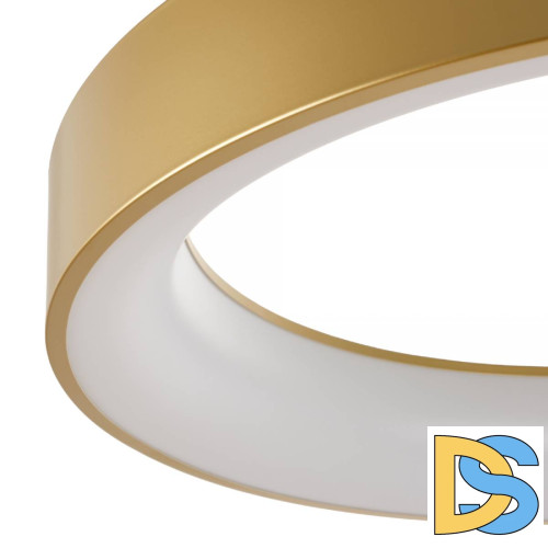 Подвесная люстра Myfar Shannon MR2192-1PL