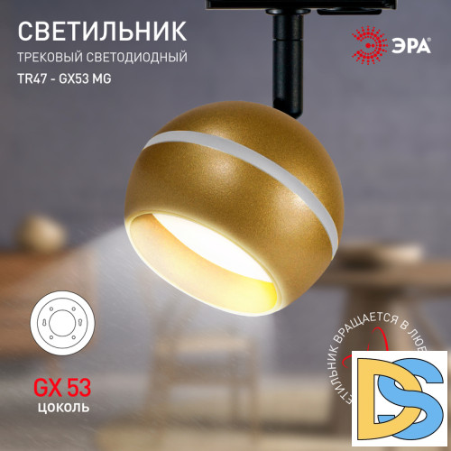 Трековый светильник Эра TR47 - GX53 MG Б0054157