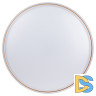 Потолочный светильник Эра SPB-6-80-RC Solar Б0054484