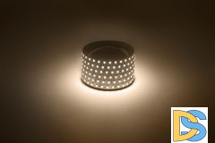 Светодиодная лента Эра 12В 2835 9,6Вт/м 3000K 5м IP20 LS2835-120LED-IP20-WW Б0035596