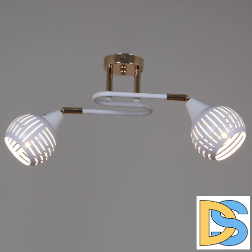 Потолочный светильник Reluce 70059-3.3-02 FG+WH