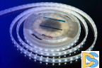 Светодиодная лента DesignLed DSG560-12-W-65 000518