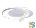 Потолочная люстра Ambrella Light Comfort LineTech FL51391