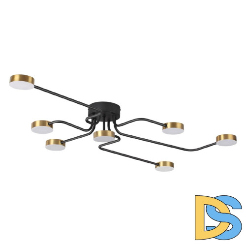 Потолочная люстра Lumion Flint 6532/99CL