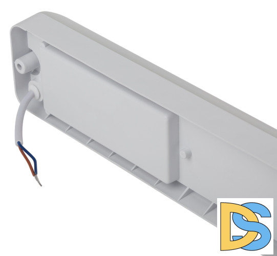 Настенно-потолочный светильник Эра SPB-103-2-40K-012 Б0052938