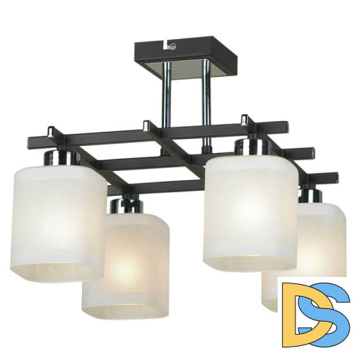 Потолочная люстра Lussole Costanzo LSL-9007-04