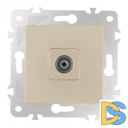 Розетка TV Arte Milano 203.43-1.shampan