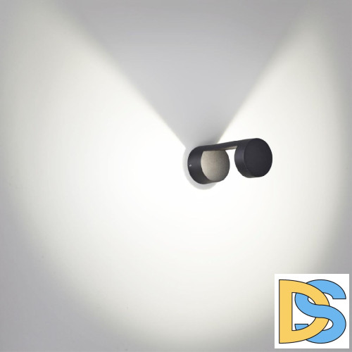 Уличный настенный светильник Odeon Light Tion 6657/10WL