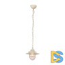 Подвесной светильник Arte Lamp A4579SP-1WG