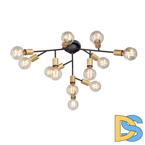 Потолочная люстра Vitaluce V4959-1/12PL