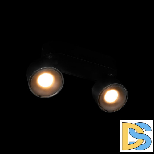 Накладной спот Loft IT Focus 10323/2A Black