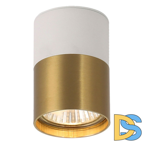 Накладной светильник Lussole Gilbert LSP-8830