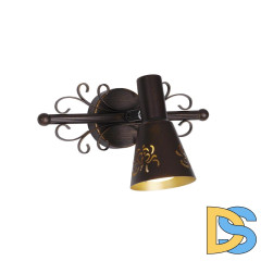 Спот Citilux Дункан CL529511