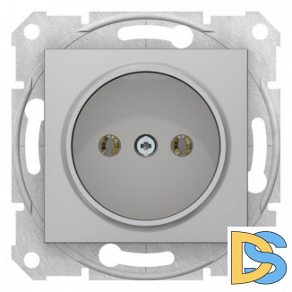 Розетка 1-ая электрическая без заземления, Алюминий, серия Sedna, Schneider Electric