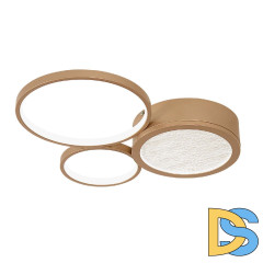 Потолочная люстра F-Promo Campus 4681-3C