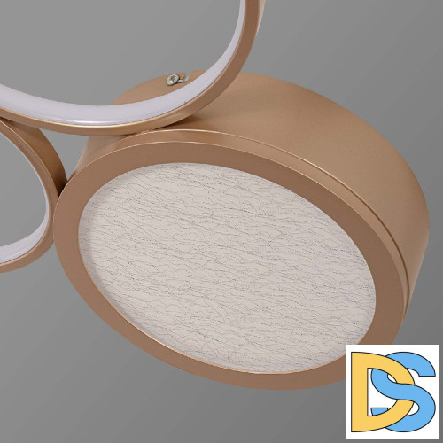 Потолочная люстра F-Promo Campus 4681-3C