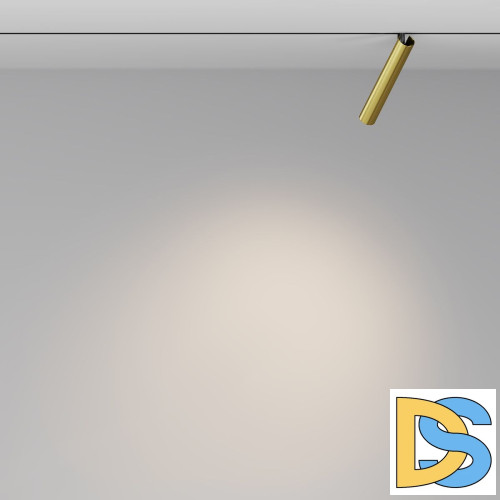 Трековый магнитный светильник Maytoni Focus T TR141-2-6W3K-M-BS