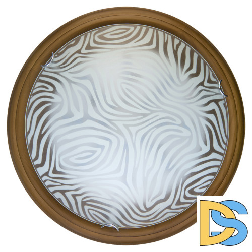 Настенно-потолочный светодиодный светильник Toplight Agatha TL9260Y-00OA