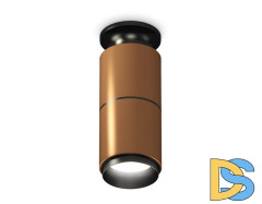 Потолочный светильник Ambrella Light Techno Spot XS6304170 (N6902, C6304, A2061, N6121)