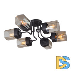 Потолочная люстра Vitaluce V4888-1/6PL